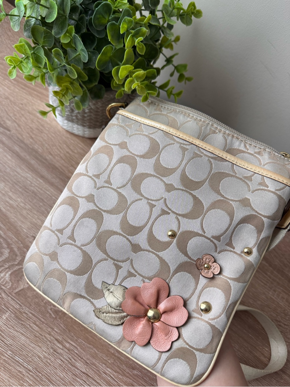 Coach Poppy Daisy Swingpack Signature Crossbody Floral Applique Bag